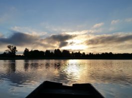 Беларусь — инструкция по применению Беларусь - инструкция по применению