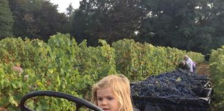 Недорого отдохнуть за границей, или «работаем, чтобы жить отдыхать» Недорого отдохнуть за границей