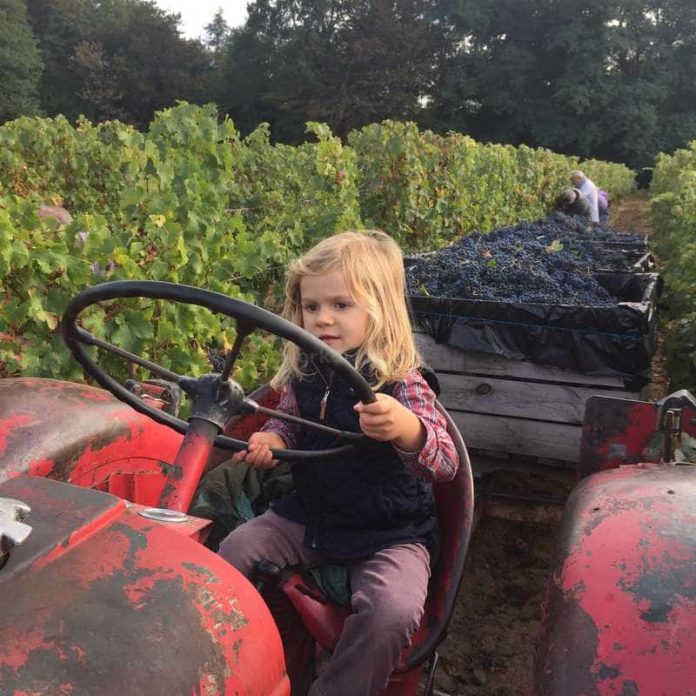 3-1 Недорого отдохнуть за границей