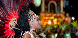 Карнавал в Рио-де-Жанейро Карнавал в Рио-де-Жанейро