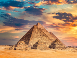 Египетская сила: инструкция по выживанию и удовольствию Египетская сила: инструкция по выживанию и удовольствию