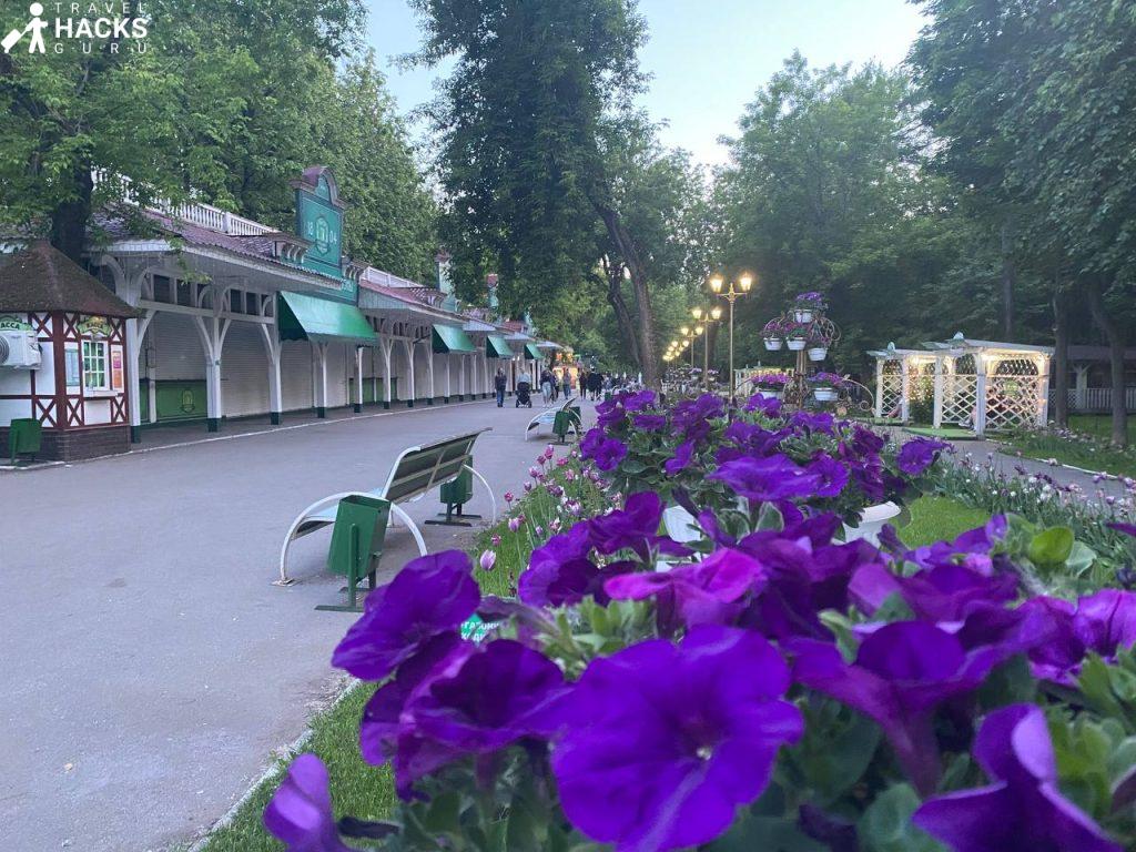 Горьковский парк