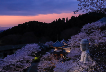 Япония: 25 лайфхаков для путешественника Япония: 25 лайфхаков для путешественника