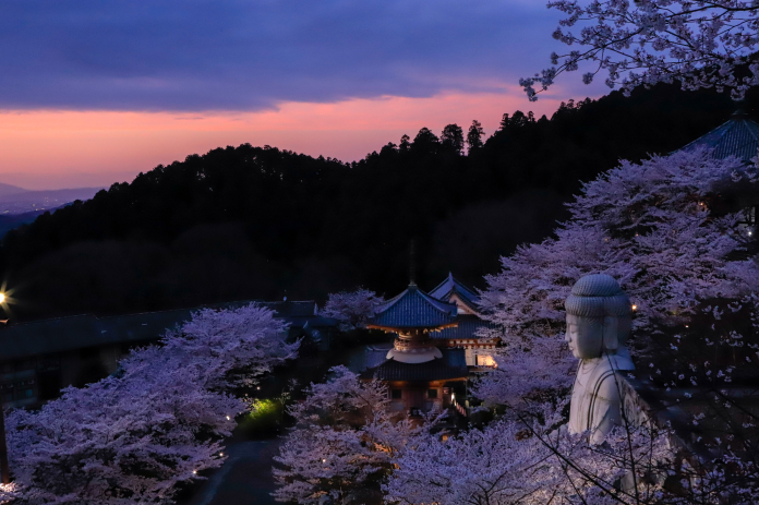 Япония: 25 лайфхаков для путешественника