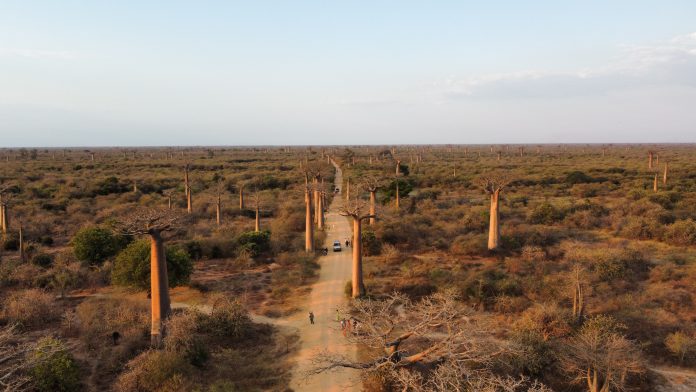 DCIM100MEDIADJI_0316.JPG 10 советов при путешествии в Африку