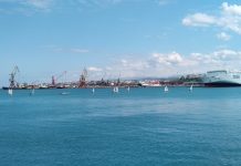 Восточный Крит. Инструкция по применению. Крит Инструкция по применению