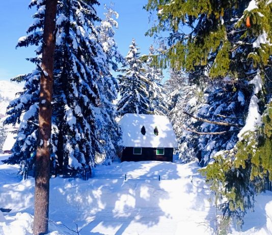 Зачем туристы едут в Черногорию зимой Зачем туристы едут в Черногорию зимой