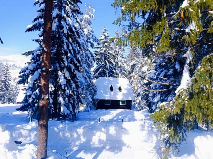 IMG_20241213_180954 Зачем туристы едут в Черногорию зимой