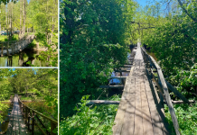 Подвесные мосты и природные красоты Вилейки Подвесные мосты и природные красоты Вилейки