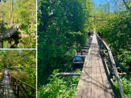 Подвесные мосты и природные красоты Вилейки Подвесные мосты и природные красоты Вилейки