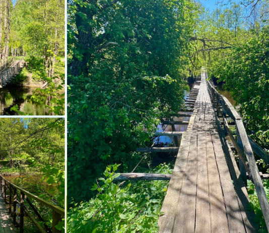 Подвесные мосты и природные красоты Вилейки Подвесные мосты и природные красоты Вилейки