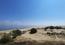 5 правил для посещения Куршской косы 5 правил для посещения Куршской косы