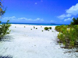 Куба — путешествие в прошлое Куба - путешествие в прошлое