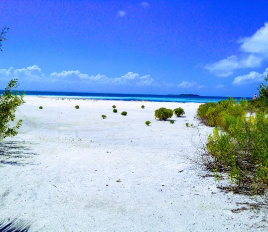 Куба — путешествие в прошлое Куба - путешествие в прошлое