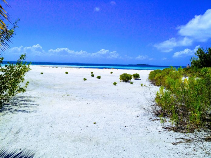 benoit-debaix-PNR7gib9O0k-unsplash Куба - путешествие в прошлое