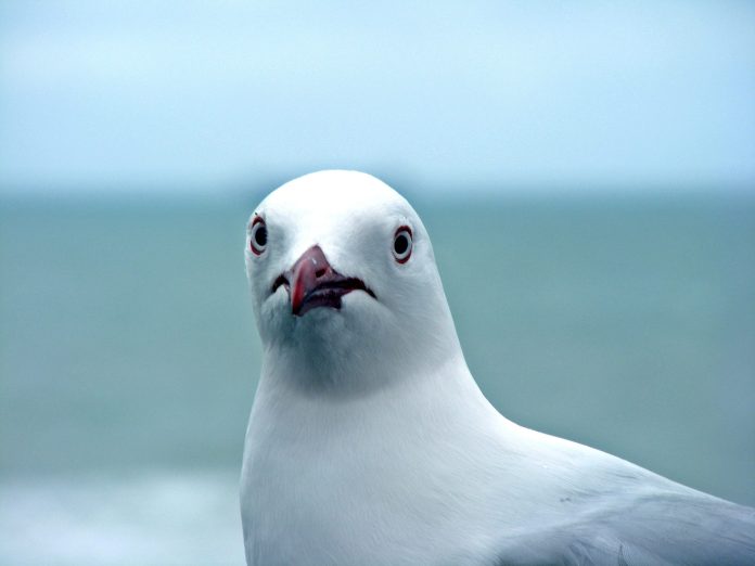 betty-luckhurst-ZtSkLmNfi0s-unsplash Куда не летим обзор от 28.03.2021