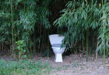 Общественные туалеты — о чем не расскажут путеводители Общественные туалеты: о чем не расскажут путеводители