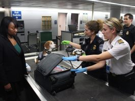 Как не попасть в тюрьму во время путешествия за границей? Как не попасть в тюрьму во время путешествия за границей