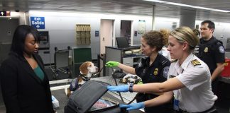 Как не попасть в тюрьму во время путешествия за границей? Как не попасть в тюрьму во время путешествия за границей