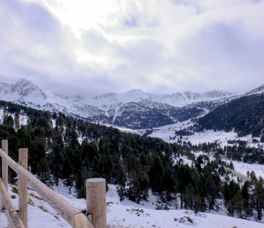 Отмена виз, которая ничего не значит Отмена виз которая ничего не значит