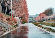 Бесплатный Сеул Бесплатный Сеул