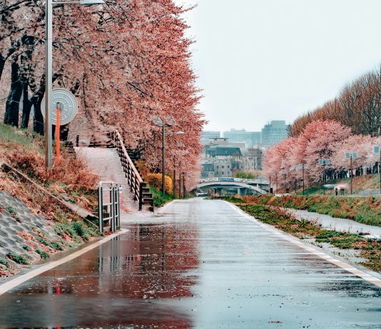 Бесплатный Сеул Бесплатный Сеул