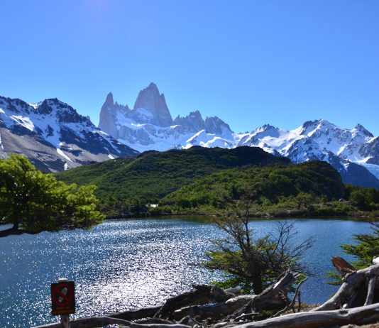 Аргентина — инструкция по применению Аргентина - инструкция по применению