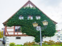 Путешествия без спешки: медленные города Европы Путешествия без спешки: медленные города Европы