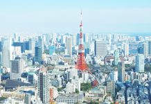 Токио — инструкция по применению Токио - инструкция по применению