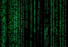 Экскурсоводы без свободы Экскурсоводы без свободы