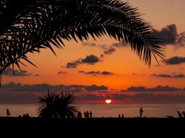 Как сэкономить на отдыхе в Грузии? Как сэкономить на отдыхе в Грузии