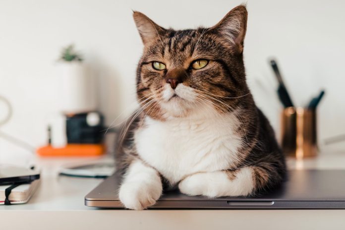 simon-hrozian-hQPoYovqWR0-unsplash 10 неочевидных вещей