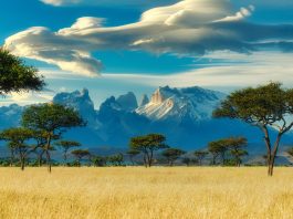 Кения. Как не стать «мобильным банкоматом»? Кения. Как не стать "мобильным банкоматом"?